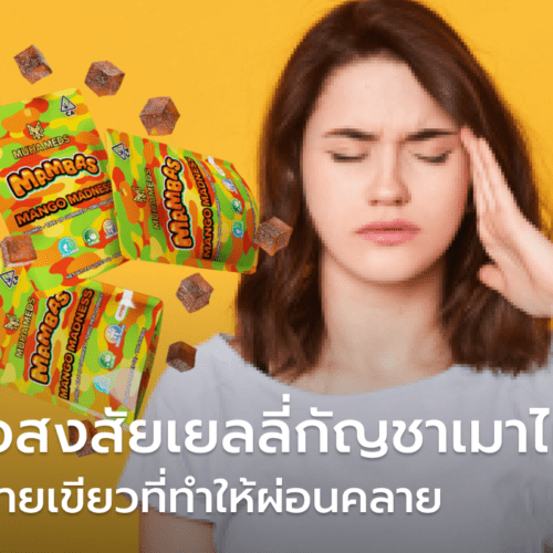 ไขข้อสงสัย ทาน เยลลี่กัญชา เมาไหม ? ขนมสายเขียวที่ทำให้ผ่อนคลาย