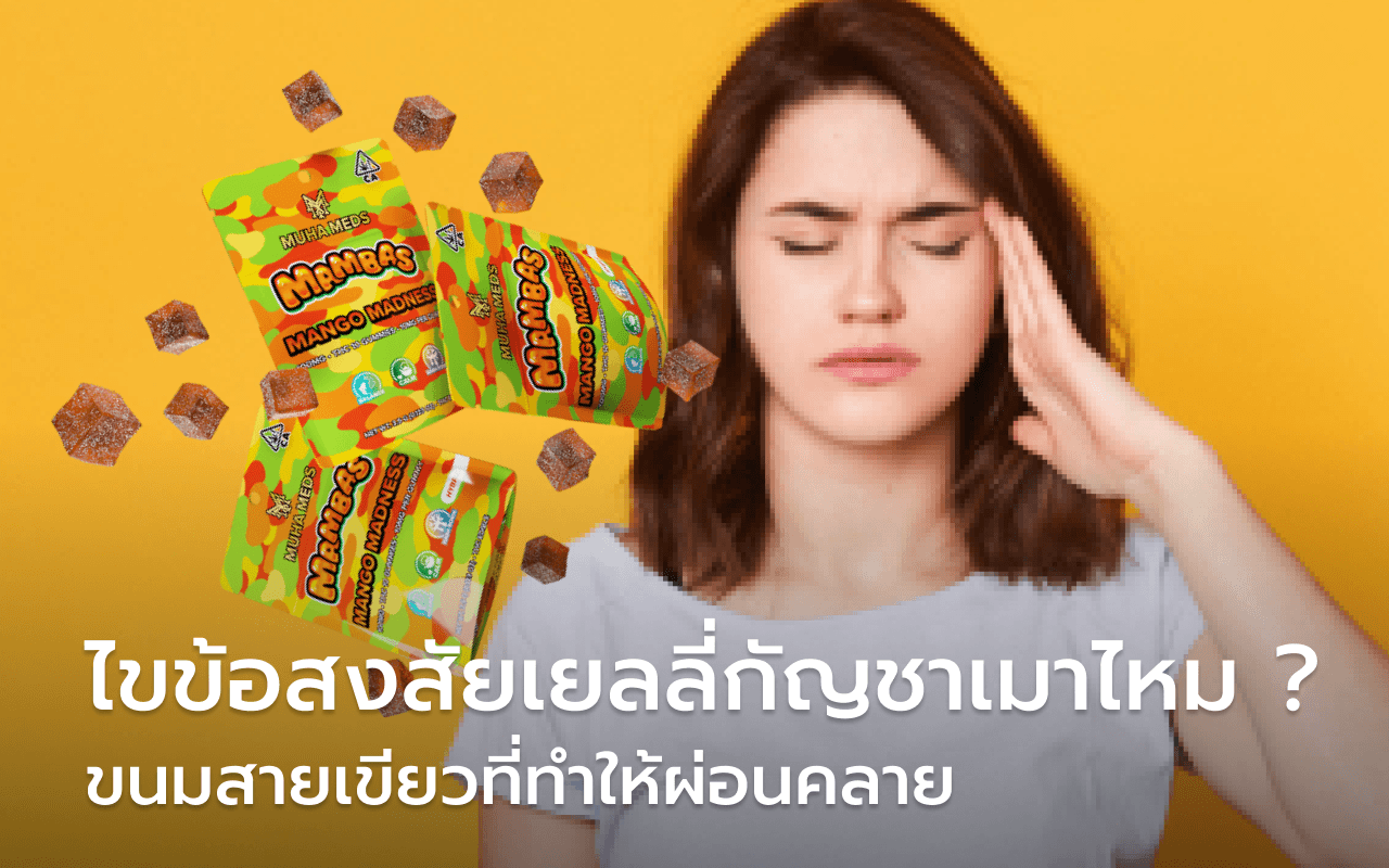 เยลลี่กัญชา เมาไหม