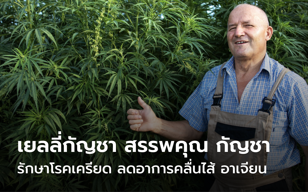 เยลลี่กัญชา อาการ